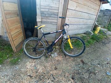 bicicletta mtb