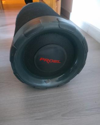 Subwoofer a Tubo PROEL