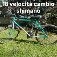Bicicletta MTB usata