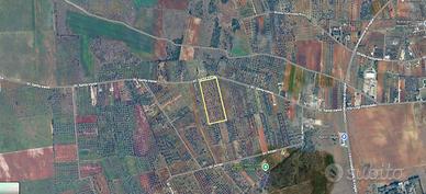 Terreno agricolo vicino alla circonvallazione