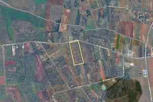 Terreno agricolo vicino alla circonvallazione