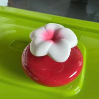 Diffusore per ambiente