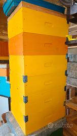 Attrezzatura apistica Arnie Telaini Smielatore