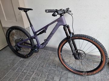 MTB Canyon CF8