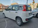 fiat-panda-1-3-mjt-95-cv-s-s-easy-5-posti-2017-eur