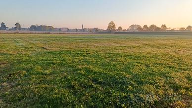 Terreno agricolo per investimento