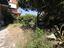 Immagine 28