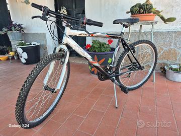 mountain bike da passeggio 26'