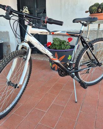 mountain bike da passeggio 26'