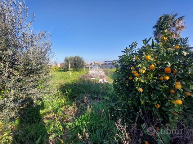 TER. AGRICOLO A MARANO DI NAPOLI