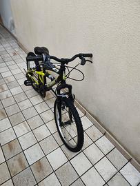 Bici da 20 pollici 