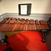 Marimba Adams