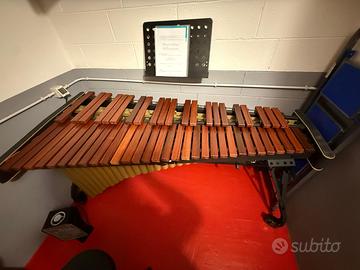 Marimba Adams
