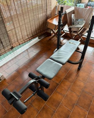 Panca con leg extension leg curl e dip bars