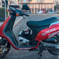 Gilera Typhoon 50 registro storico FMI