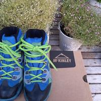 Pedule da montagna McKinley