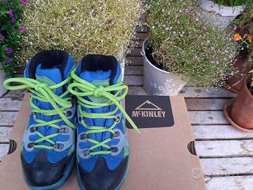 Pedule da montagna McKinley