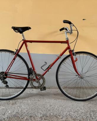 Bici Cicli Vicini 1974 (telaio Campagnolo)
