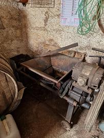 Torchio continuo per uva