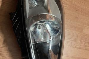 FARO ANTERIORE PUNTO EVO 89102045DX