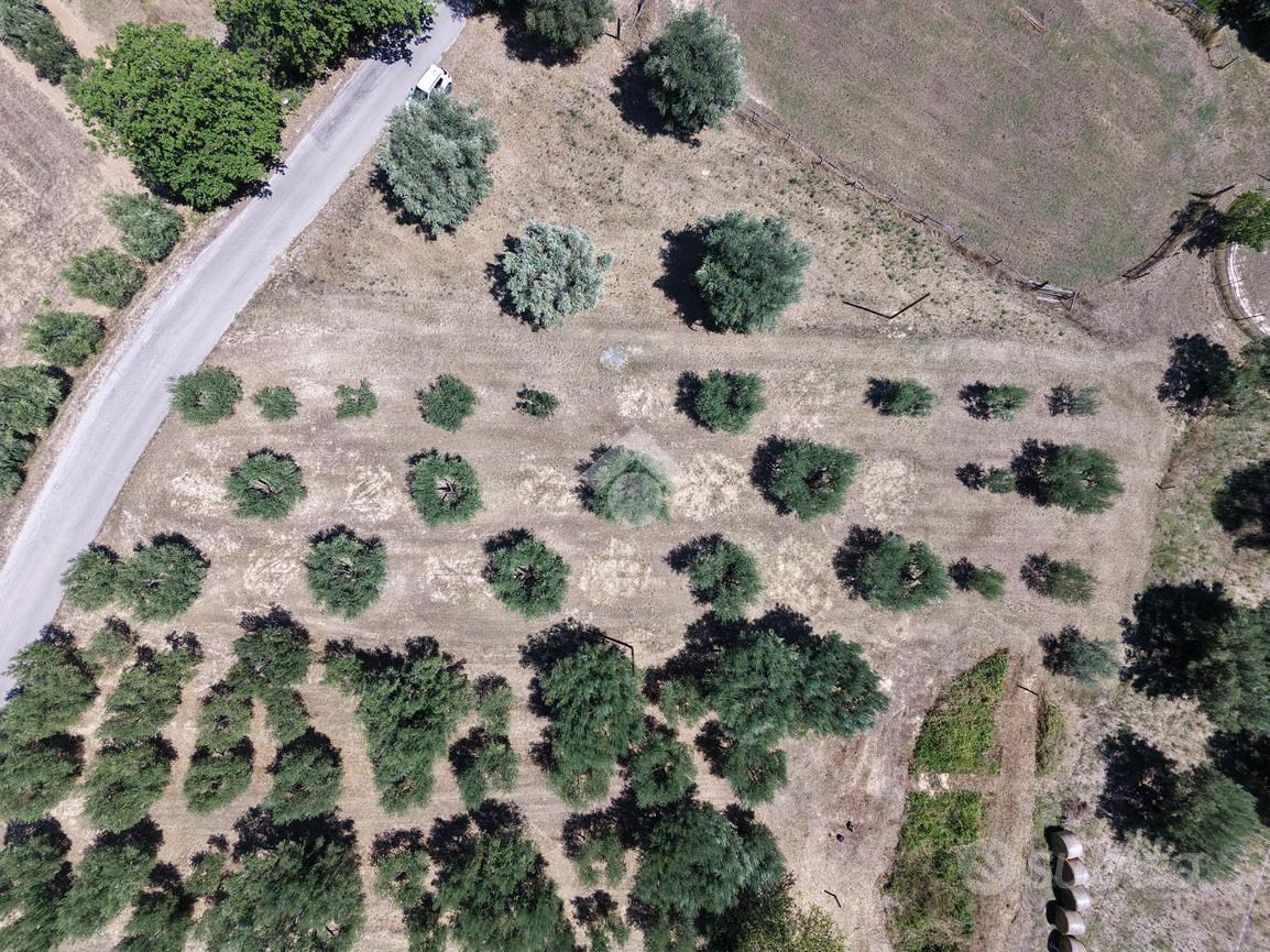 TERRENO A GIULIANOVA - Vista 4