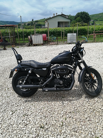 Harley Davidson 883 iron