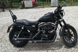 Harley Davidson 883 iron