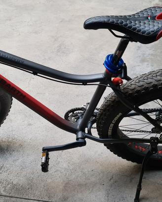 bicicletta