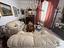 Immagine 11