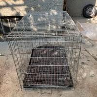 box trasportino cani grossa taglia