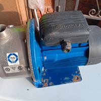 elettropompa Lowara BGM5/A