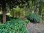 Immagine 29