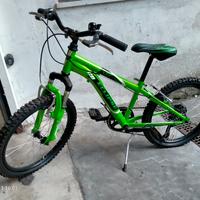 bicicletta bambino 20