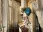 Immagine 8