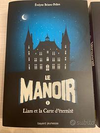 Le Manoir Èvelyne Brisou Pellen