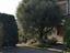 Immagine 19