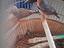 Immagine 1