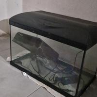 acquario 60 litri 