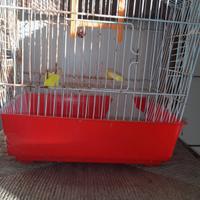 gabbia x uccelli  4 euro