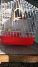 gabbia x uccelli  4 euro