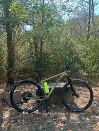 Radon Jealous AL 8.0