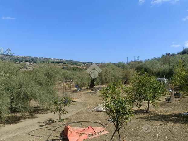 TER. AGRICOLO A SIRACUSA