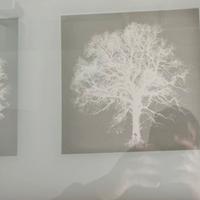 Composizione Erikslund ikea