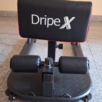 palestra sissy squat