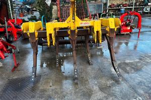 Dissodatore daniele 5 ancore