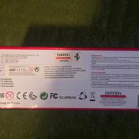 Macchina radio comandata Enzo Ferrari