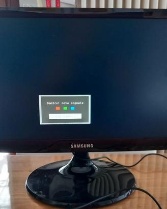 monitor samsung 19 pollici