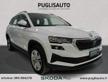 SKODA Karoq 2.0 TDI EVO SCR 115 CV DSG Executive