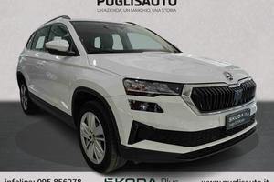 SKODA Karoq 2.0 TDI EVO SCR 115 CV DSG Executive