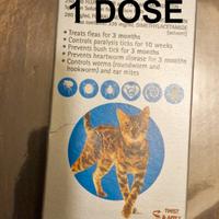 Anti pulci, zecche per gatto taglia media